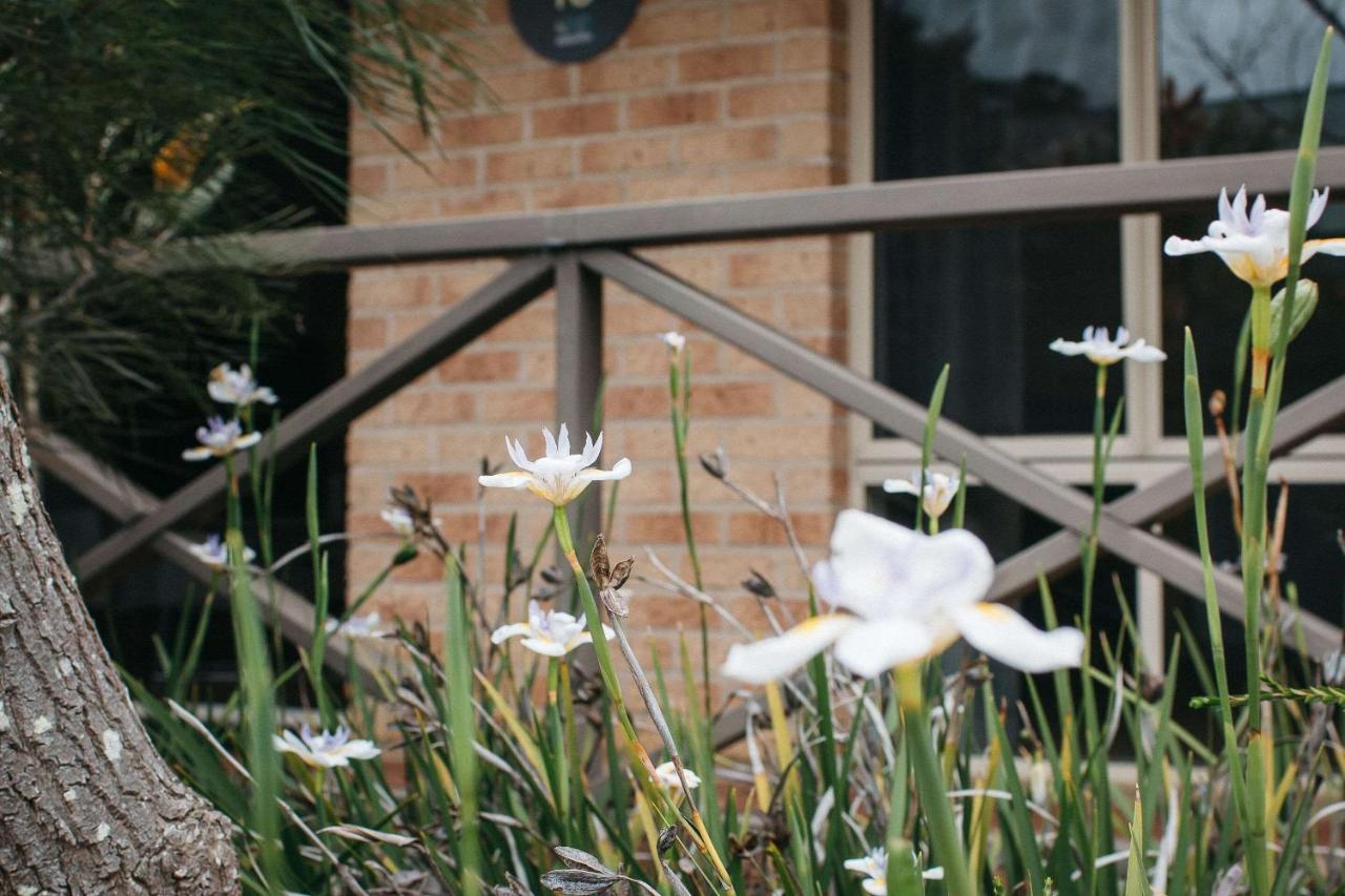 Quality Apartments Banksia אולבני מראה חיצוני תמונה